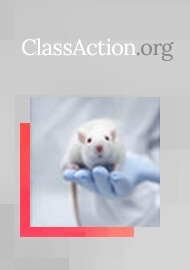 Many Animal-Based Drug Studies Are Seriously Flawed, New Research Shows