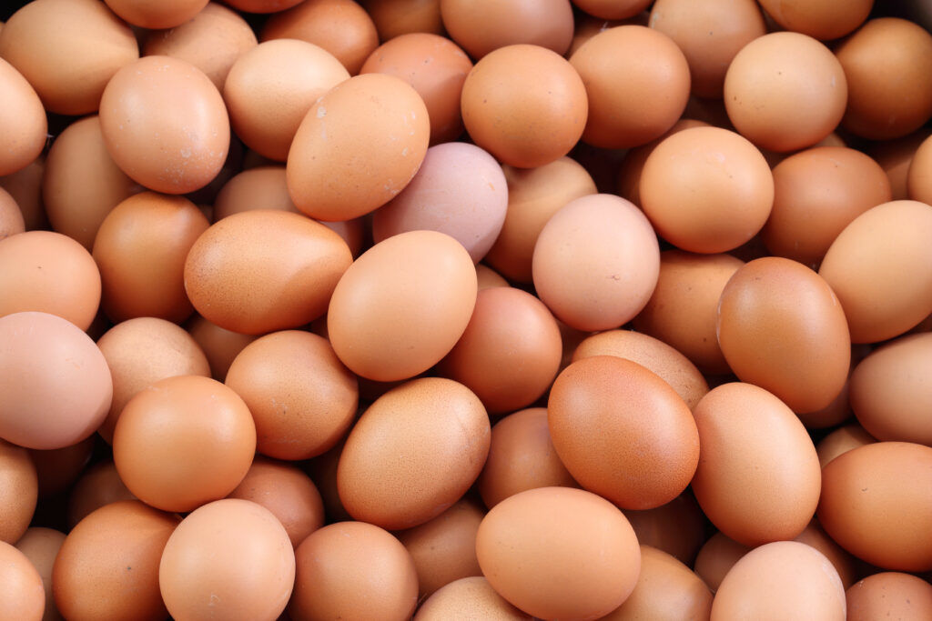Antitrust Lawsuit Says Producers Used Shared Platform to Conspire to Fix Egg Prices, Using Avian Flu as Pretext