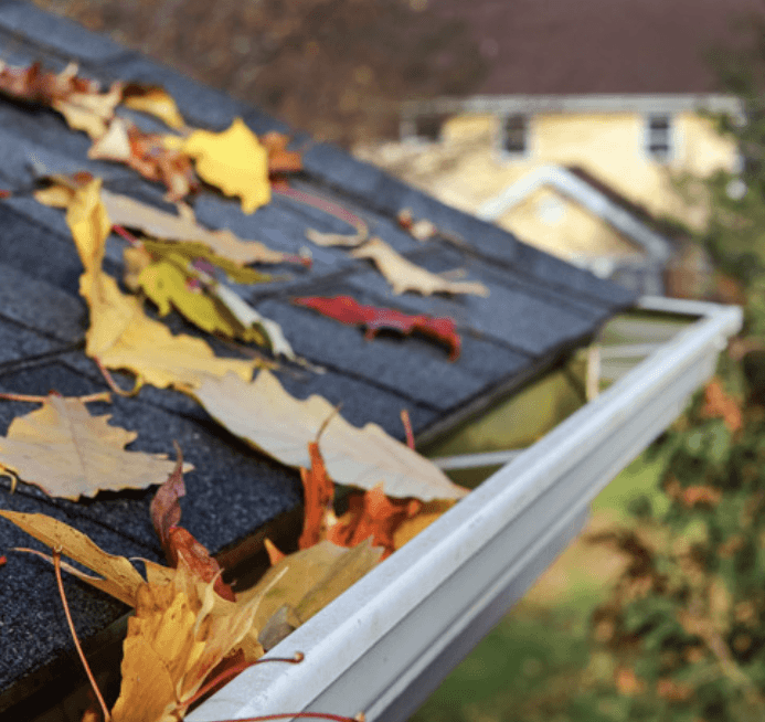 LeafGuard Pays Affiliate Marketers To Send Spam Emails With Fake Deals, Class Action Lawsuit Alleges