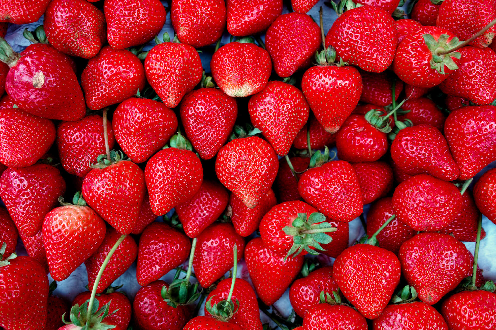 Driscoll&rsquo;s Lawsuit Alleges Company Failed to Disclose Presence of Forever Chemicals in Strawberries