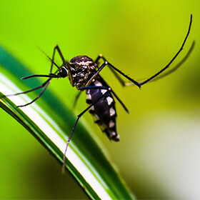‘The Modern-Day Version of Agent Orange’: Hoffmann-La Roche, Genentech Hit with Class Action Over Antimalarial Drug