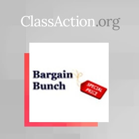 Consumer Sues Bargain Bunch Over Missing Fountain
