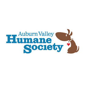 Washington Woman Claims Auburn Animal Shelter Extorts Unlawful Fees for Pets Impounded Multiple Times