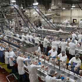 Perdue, Tyson Among Chicken Producers Accused of Conspiring to Suppress Employee Wages [UPDATE]