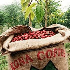 Class Action Claims Consumers Paid Premium Prices for Phony ‘Kona’ Coffee
