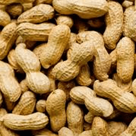 Two Major Peanut Shelling Companies Accused of Conspiring to Lower Prices Paid to Farmers [UPDATE]