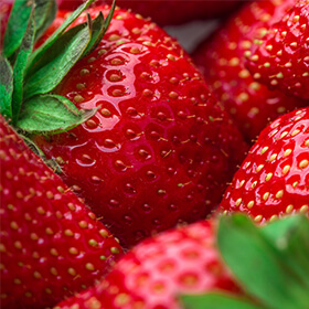 Strawberry Picker Claims Employer Refused Proper Rest Breaks