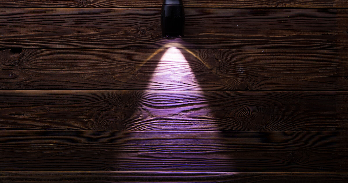 In the Dark Allegedly Defective Duracell LED Flashlights Drain