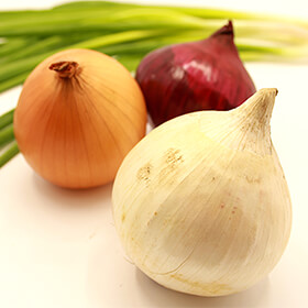 Thomson International Facing Class Action Over 2020 Onion-Related Salmonella Newport Outbreak