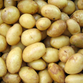Lawsuit Claims National Potato Promotion Board, Major Potato Processors Illegally Conspired to Fix Frozen Potato Product Prices