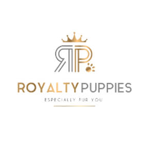 Four Florida Dog Sellers Hit with Unpaid Overtime Lawsuit