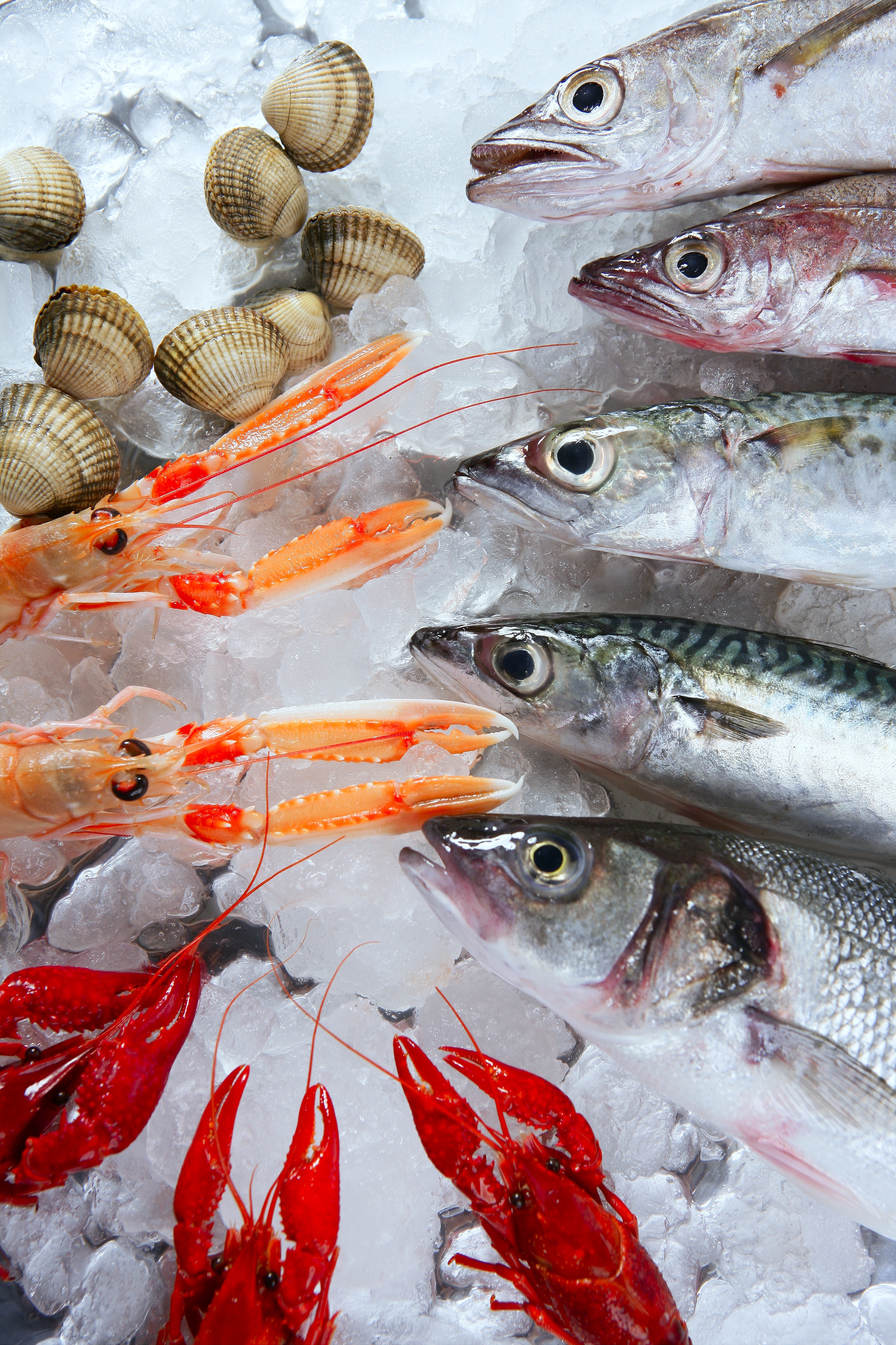 Mary Mahoney’s Lawsuit Says Restaurant Defrauded Customers By Selling Nearly 30 Tons of Frozen Foreign Fish