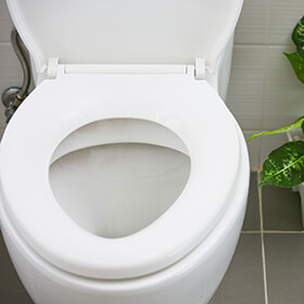 ‘Ghost-Flushing’: American Standard Champion Toilets Suffer from Gasket, Valve Defect, Class Action Claims [DISMISSED]