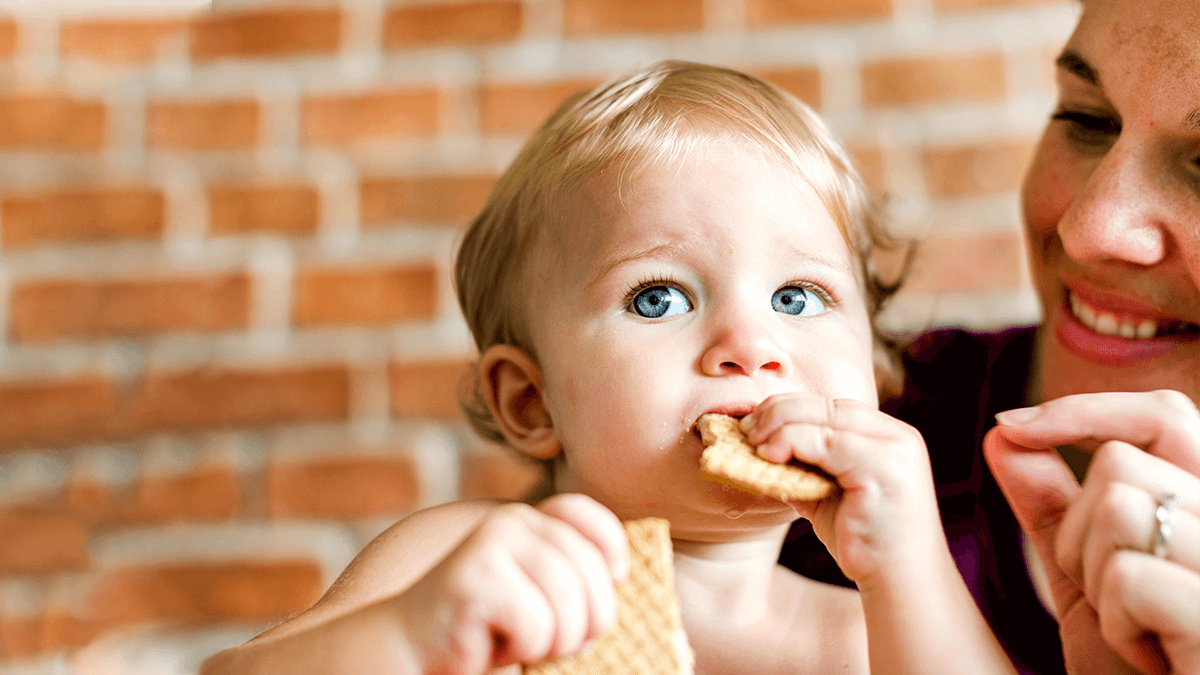 Simple Truth Organic Rice Rusks Baby Teething Wafers Contain ‘Dangerous