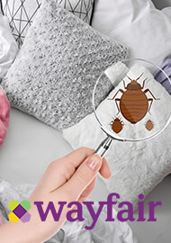 Class Action Lawsuit Alleges Wayfair Has Sold Mattresses ‘Infested’ With Bedbugs for At Least Two Years