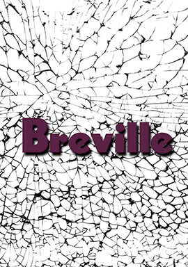 ‘Useless at Best, Dangerous at Worst’: Class Action Claims Breville Smart Oven Air Fryer Pro Can Explode, Catch Fire