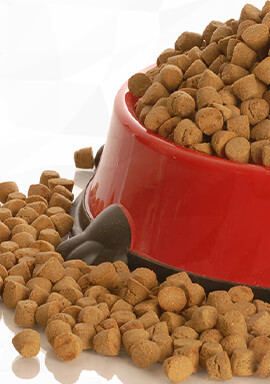Class Action Lawsuit Alleges Rachel Ray Nutrish Zero Grain Dog Food ‘Hazardous’ to Dogs’ Health [UPDATE]