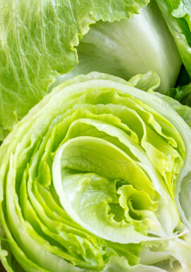 Class Action Lawsuit Alleges Taylor Farms, Taco Bell Failed to Warn Consumers of Cyclospora Contamination