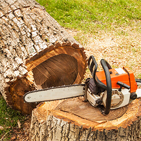 Lawsuit Against J.T. Timber Falling Claims Operators Are Owed Unpaid Wages