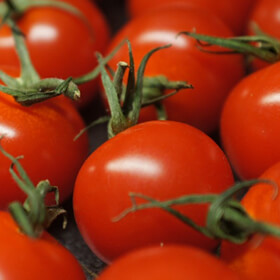 Class Action: Cento Fine Foods Deceptively Claims ‘San Marzano’ Tomatoes are Authentic