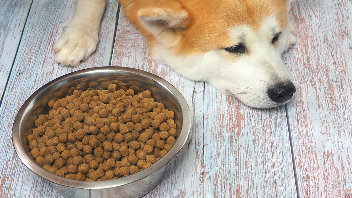 Midwestern pet foods settlement